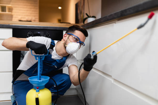 Best Wasp Removal Services  in Unionville, GA