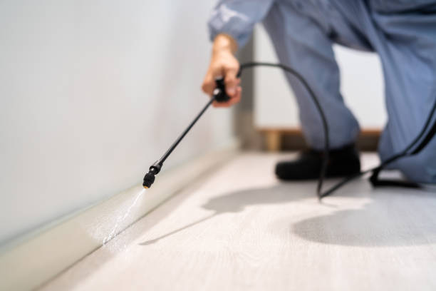 Professional Pest Control in Unionville, GA