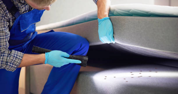 Best Mosquito Control Services  in Unionville, GA