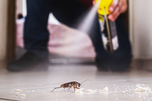 Best Pest Prevention Services  in Unionville, GA