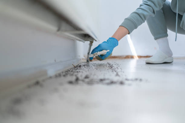 Best Local Pest Control Services  in Unionville, GA